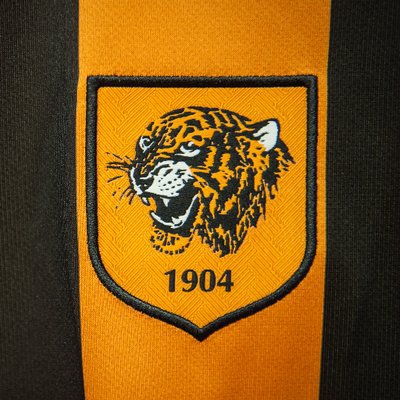 Hull City 2013-2018